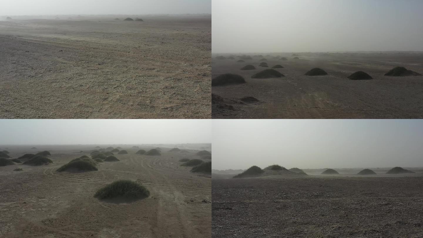 风暴实拍视频防沙治沙 环境治理抗旱