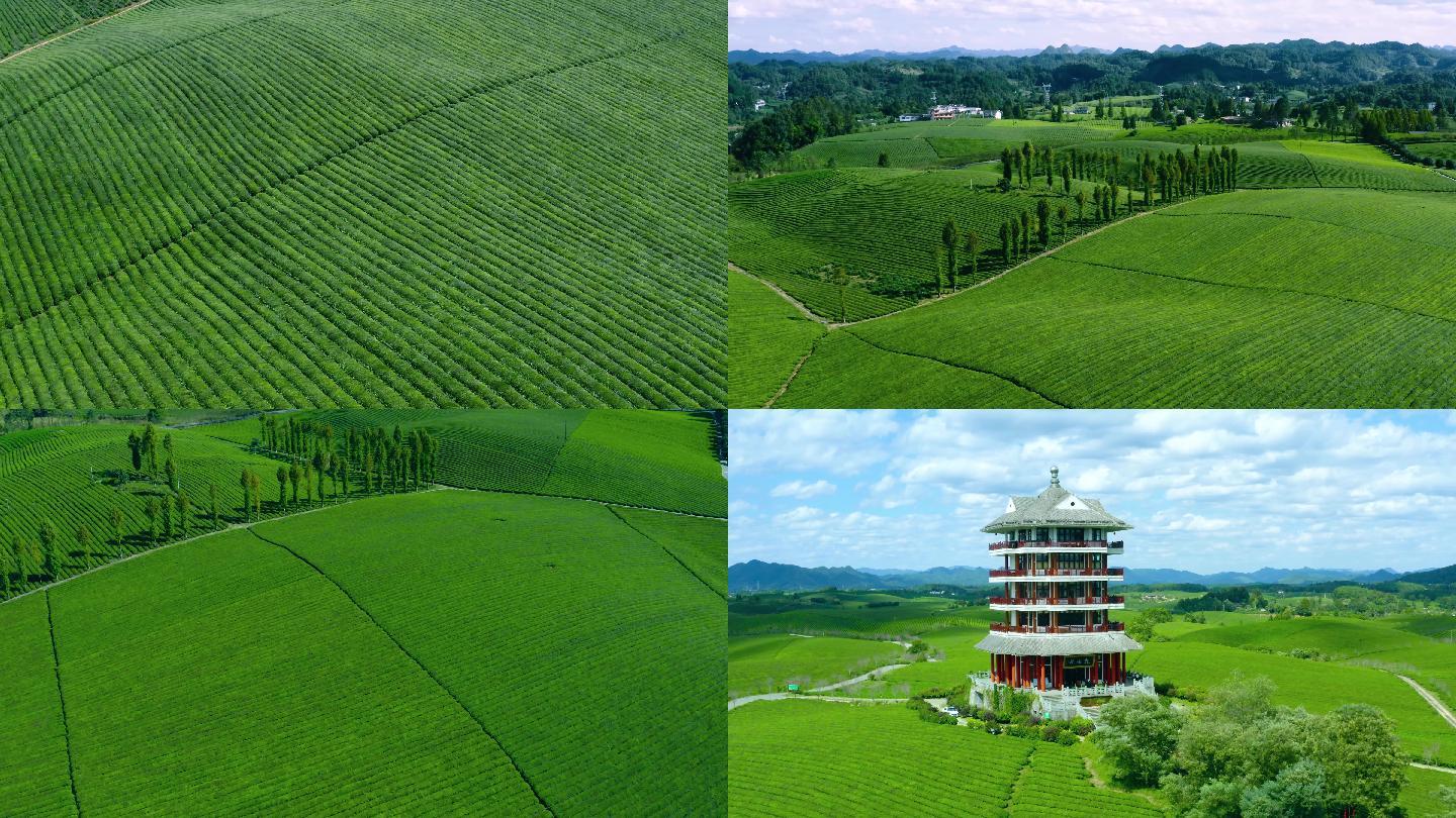 湄潭茶海茶山茶叶基地航拍