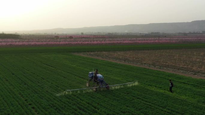 麦苗灌溉车空镜素材航拍