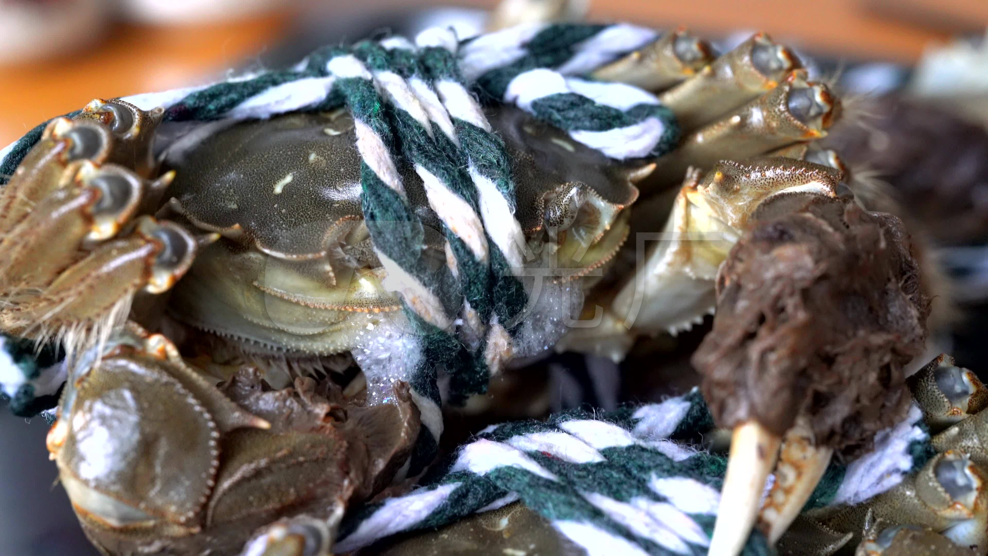 一只大闸蟹在吐泡泡,呼吸