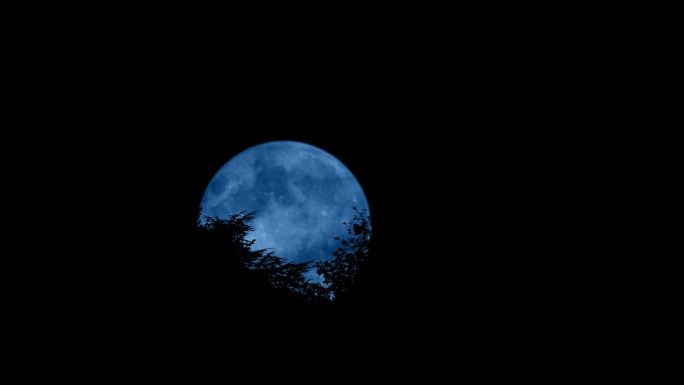 月亮在树后移动