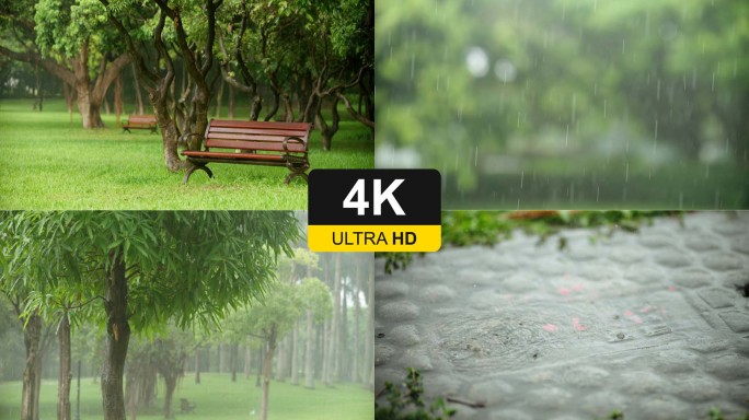 4K夏天小区公园下大雨唯美空镜