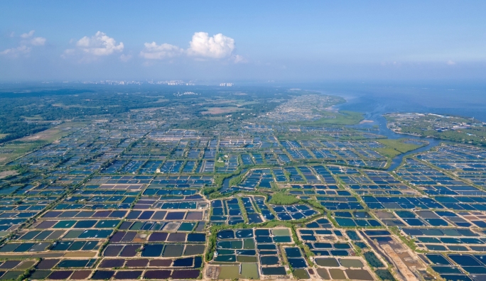 文昌冯家湾水产养殖基地【虾苗谷】