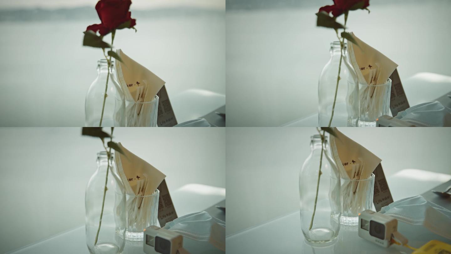 高升格拍摄玫瑰花瓶 小清新 柔和 唯美