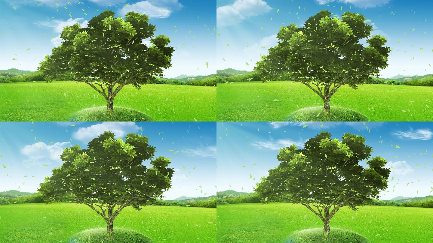 4K绿树包装背景循环