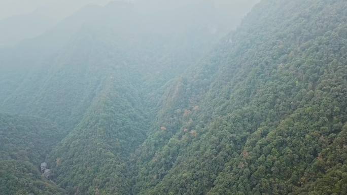 中国广西龙胜的森林青山山涧溪流航拍