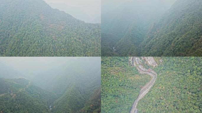 中国广西龙胜的森林青山山涧溪流航拍