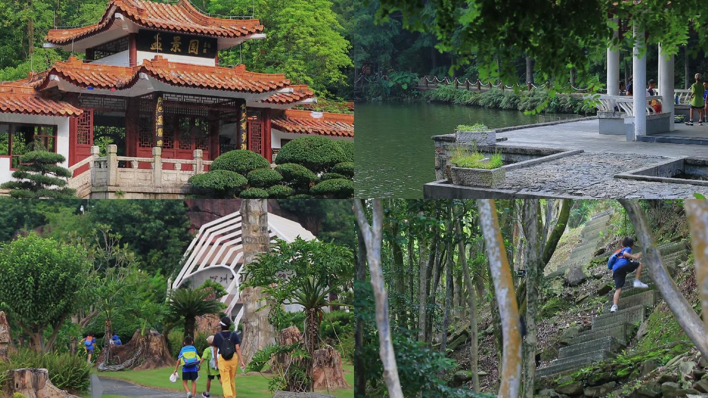 深圳青少年仙湖植物公园生物多样性探究