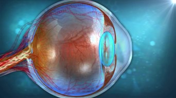 爱眼睛视频素材下载, 爱眼睛ae模板下载_光厂(vj师网)