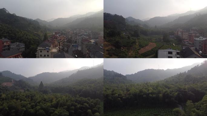 杭州茶村东穆坞茶园龙井茶茶山航拍