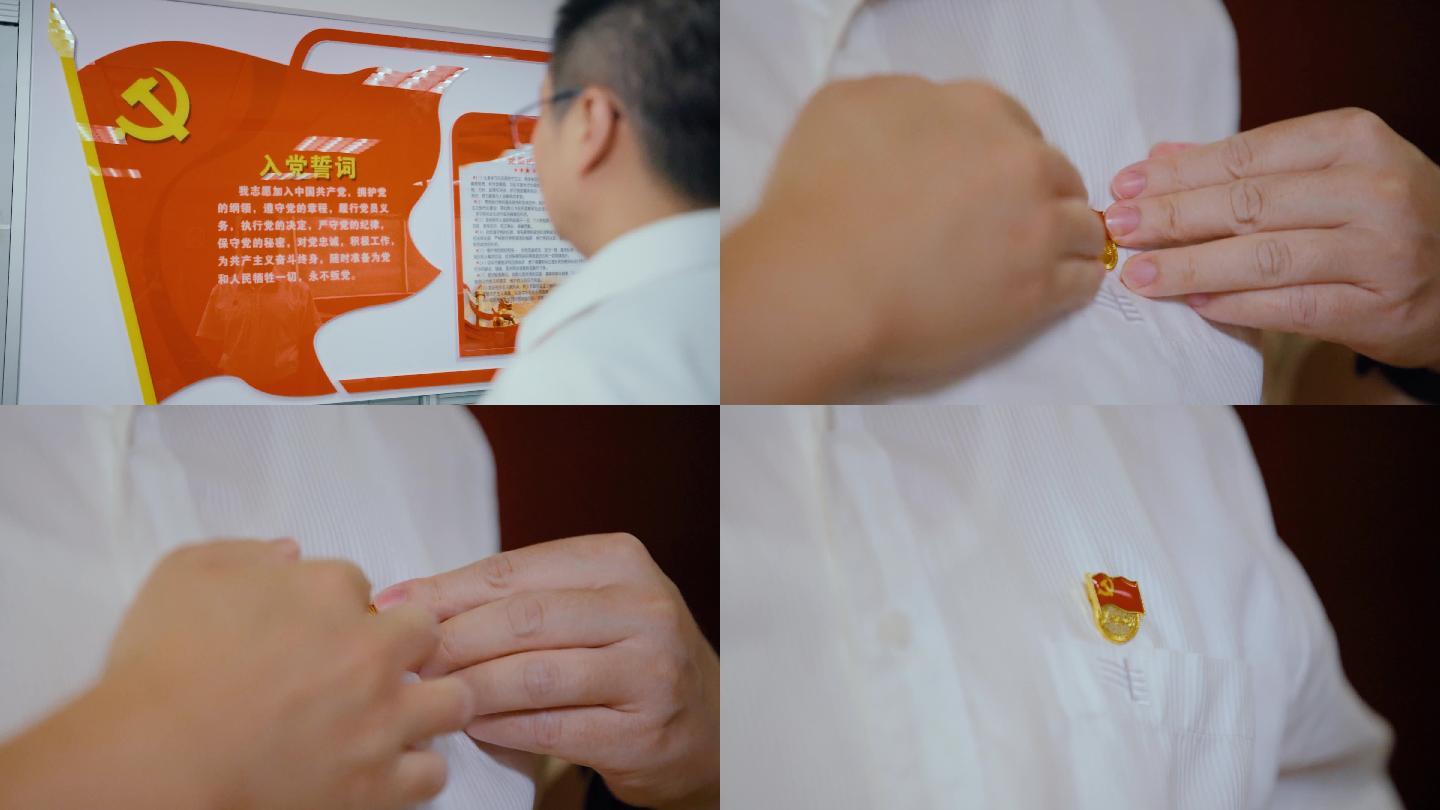 看着党旗带党徽