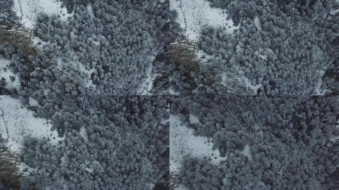 4K航拍川西高原森林雪景（原素材）