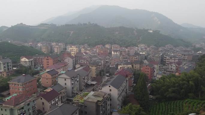 东穆坞杭州茶山茶田茶村农村俯瞰航拍