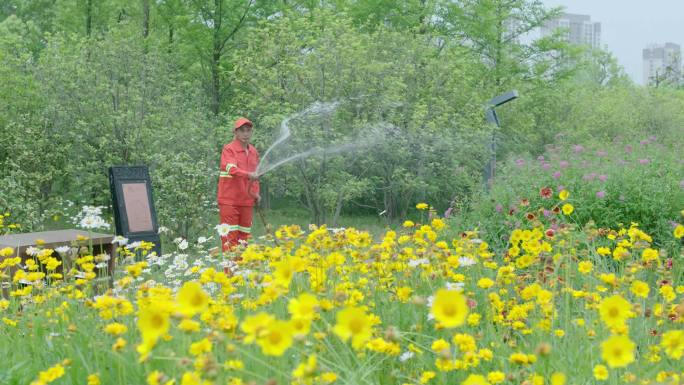 绿化工人浇灌绿植花海