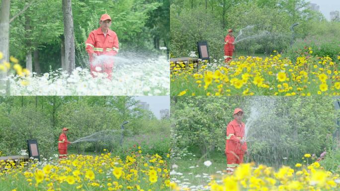 绿化工人浇灌绿植花海