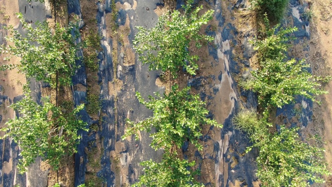 秋季田野山峦