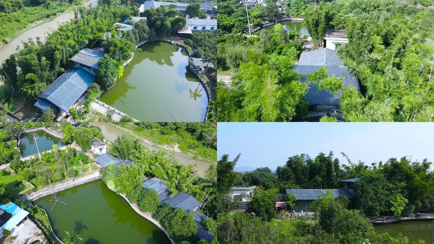 村庄瓦房自然风光，竹林湖边鱼塘乡村景观