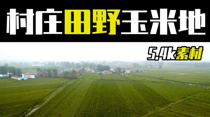 5.4k航拍大雾弥漫下的村庄田野和玉米地