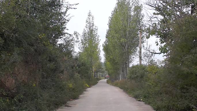 乡间道路村道水泥路