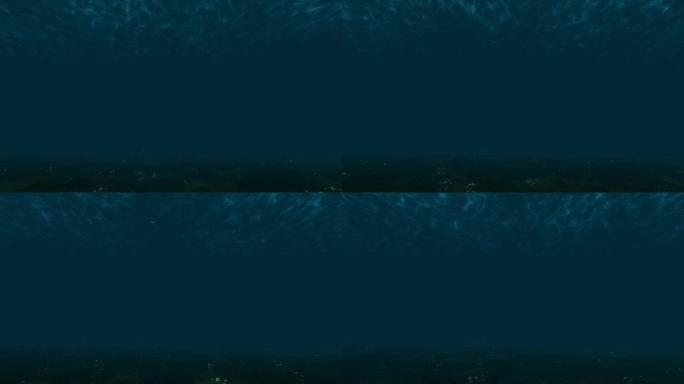 裸眼3D 海底穿梭