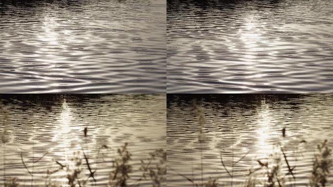 波光粼粼水面，河面波纹，光斑闪烁