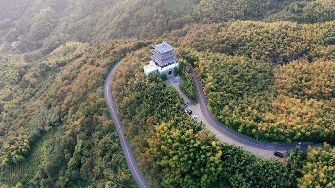 4K河南信阳固始西九华山竹海自然风光航拍