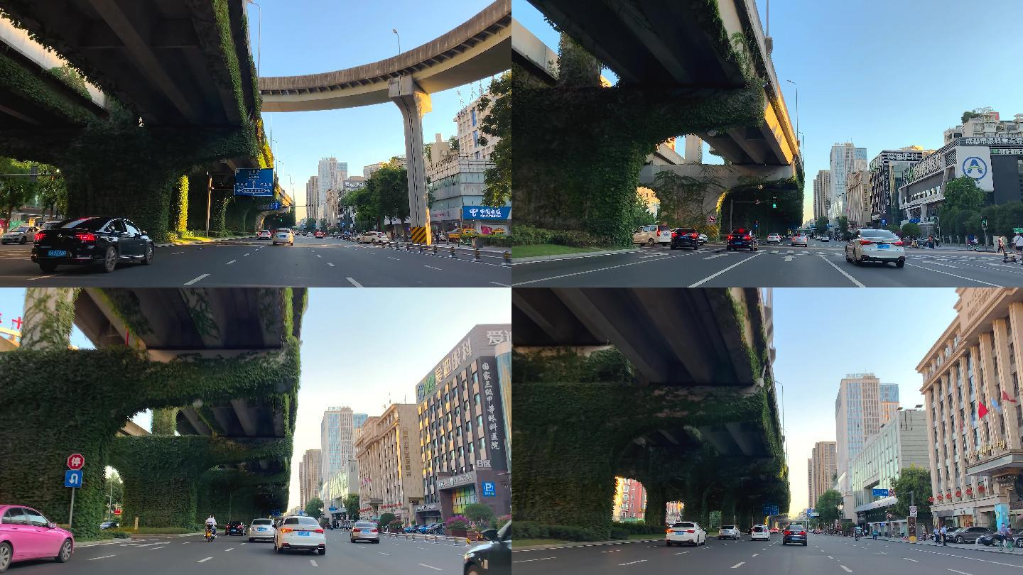 城市光影成都二环高架下立体绿化爬山虎4K