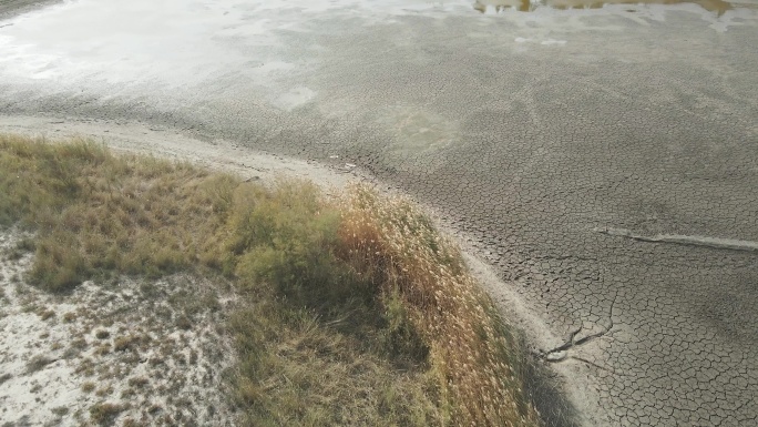 消失的湖泊湿地