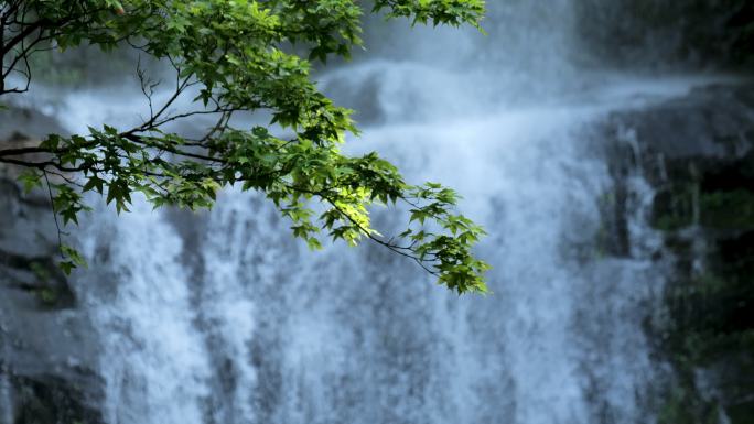 4K实拍高山流水瀑布