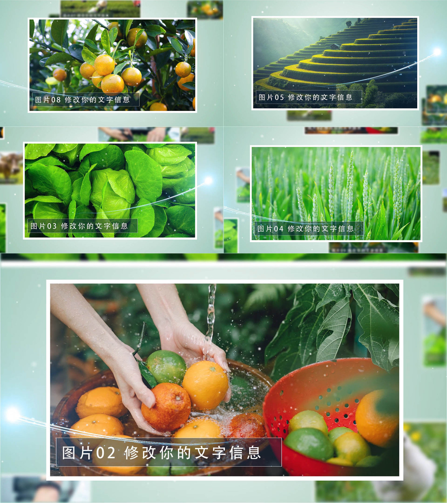 绿色生态农业图片包装