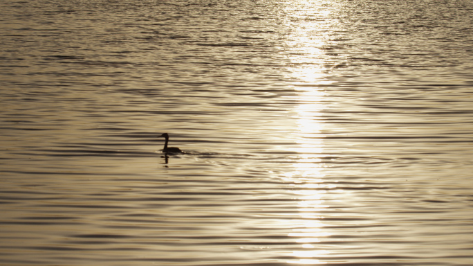 波光粼粼水面，湖面阳光，水面波纹