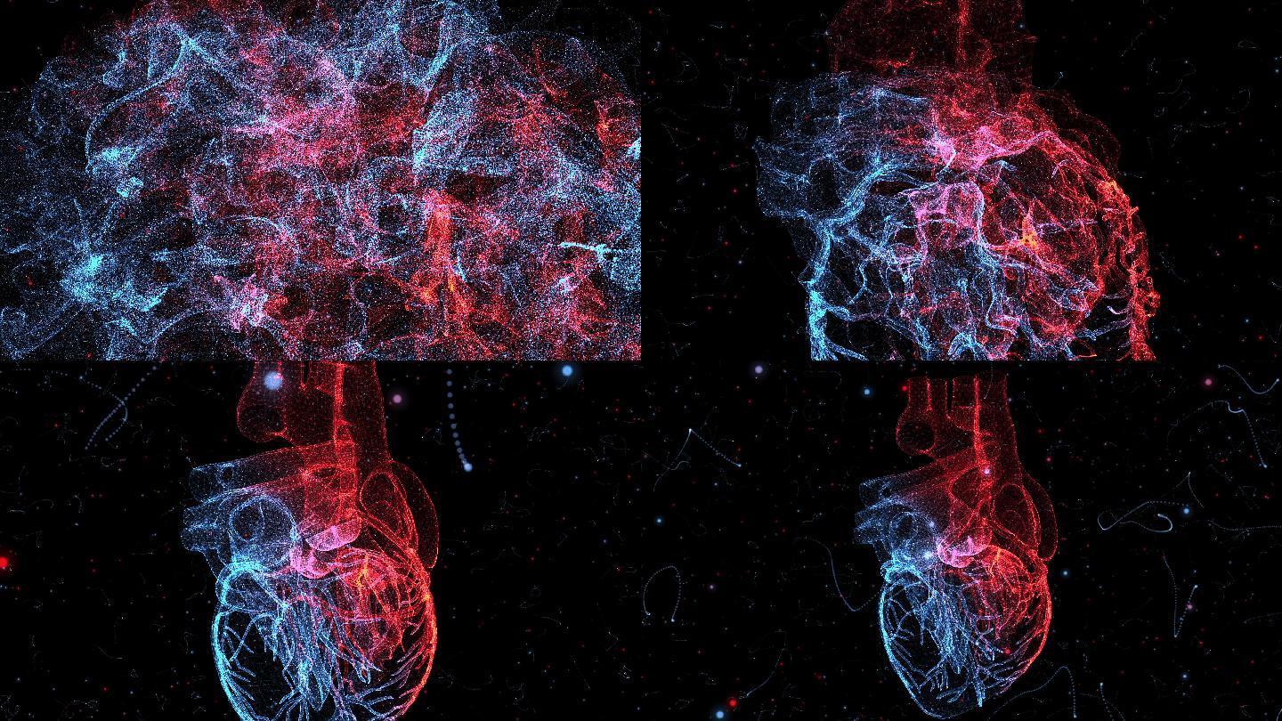 粒子汇聚医院心室生物医学动画