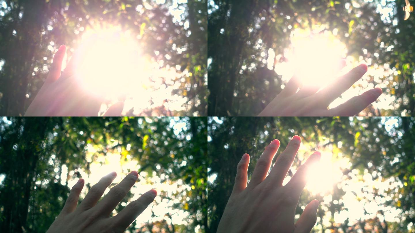 阳光透过人的手指