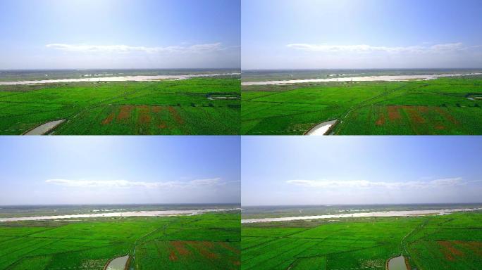 万亩稻田-黄河岸边-大地河流