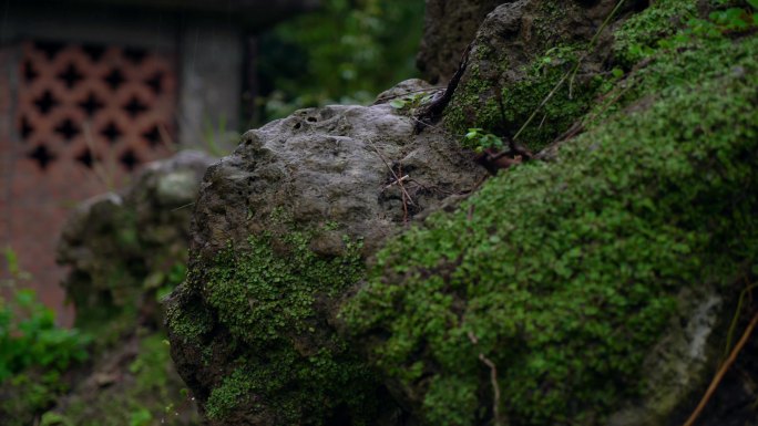 秋雨雨天风景