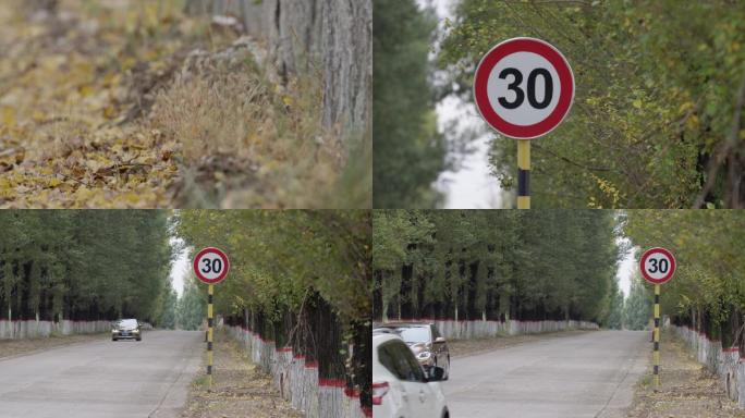 乡村公路车流，秋天小路，交通限速落叶