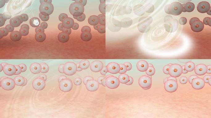 渗透滋养皮肤底层