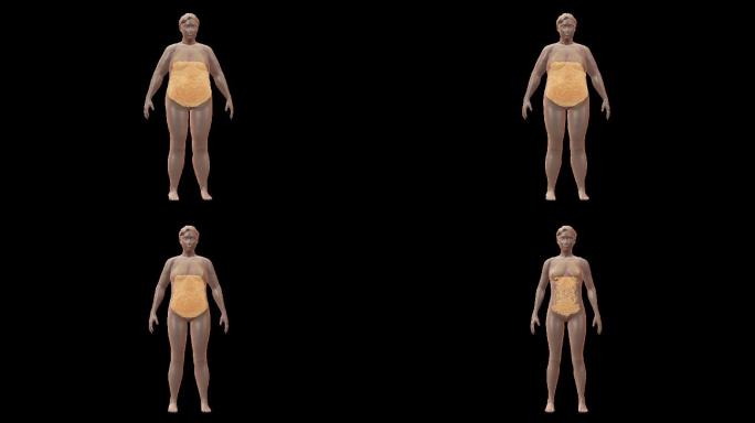 女人全身减脂肪