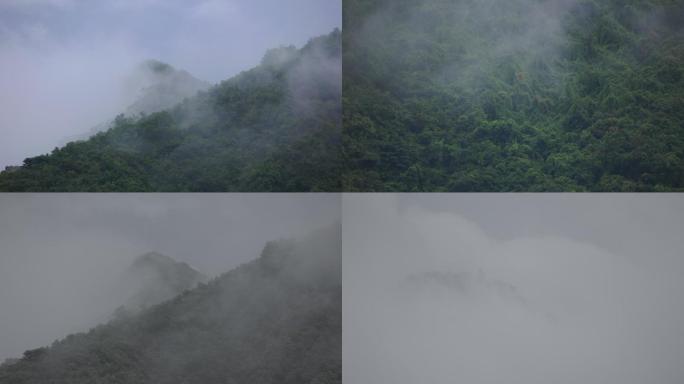 云雾缭绕若隐若现的山林1