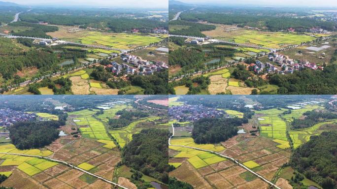 江西省吉安市青原区新圩镇