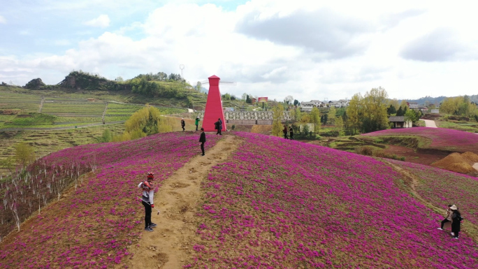 达州美丽新农村花卉农村旅游乡村振兴