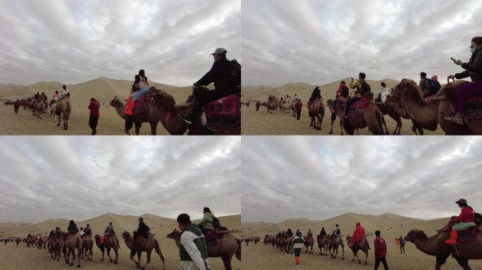 沙漠骆驼旅游队