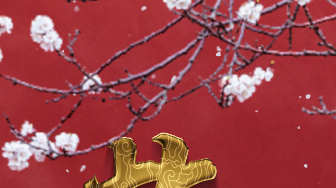 宫名_金字AE模板