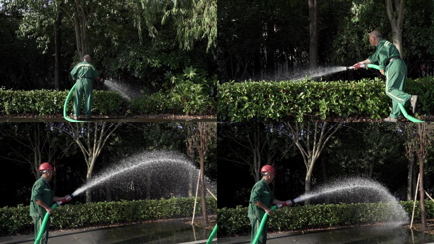 市政园林工人公园浇水绿植养护