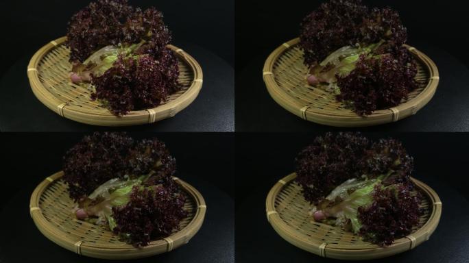 蔬菜食物红珊瑚生菜4K实拍视频