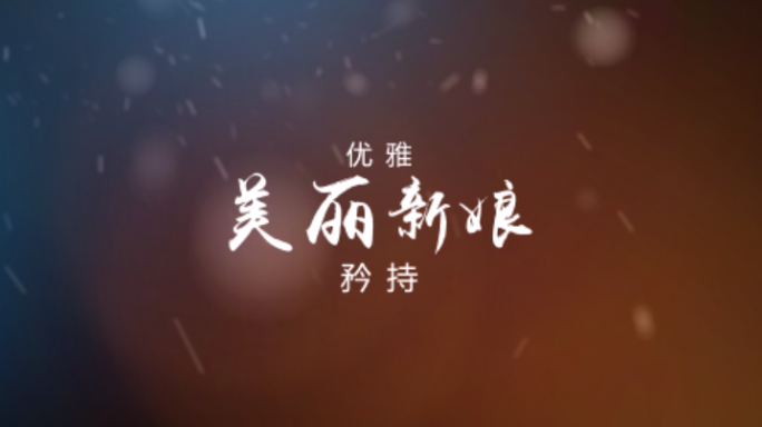 唯美的婚礼字幕特效文字动画片头(带字体)