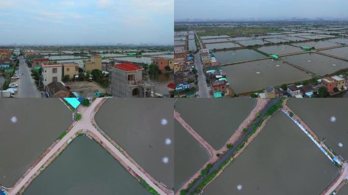 4K渔村桑基鱼塘小镇航拍