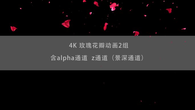 2组4k玫瑰花瓣划屏30fps