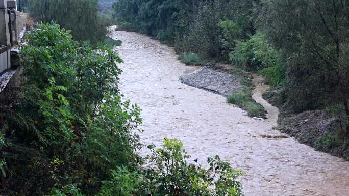 农村河道洪水泛滥