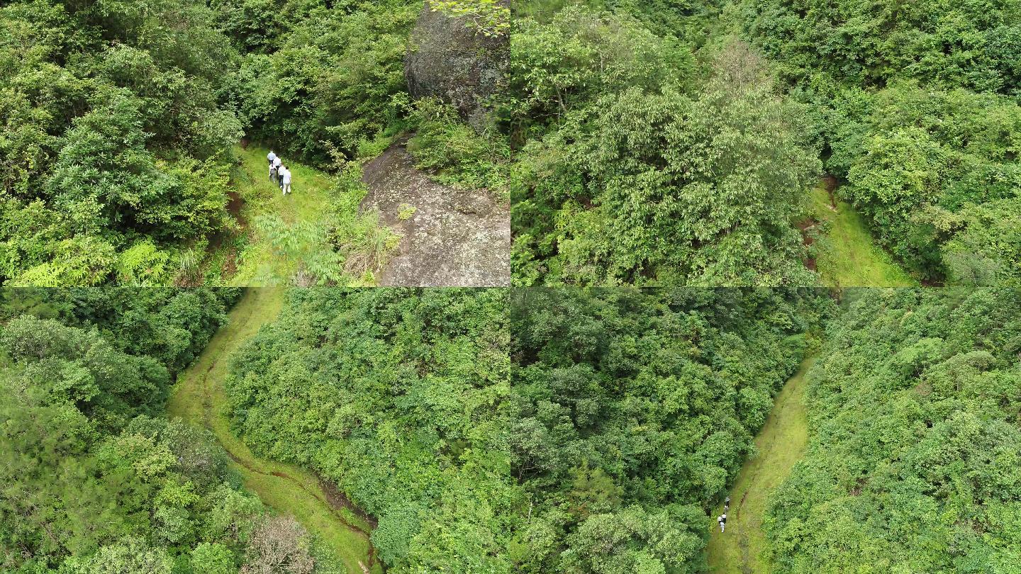 乡村 乡村航拍 山 山峰 山村道路 农田